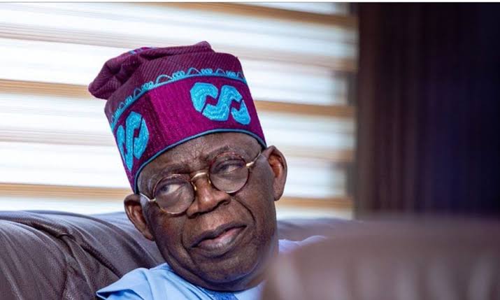 Nigeria witnessing significant changes under Tinubu – NILDS D-G