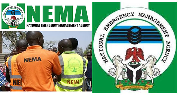 Displaced Families Seek Shelter as NEMA Sounds Red Alert in Adamawa Flood Emergency